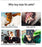 Animal Shape Squeak Plush Dog Toy Funny Interactive Chew Molar Toy for Small to Large Dogs And Cats Puppy Interactive Training