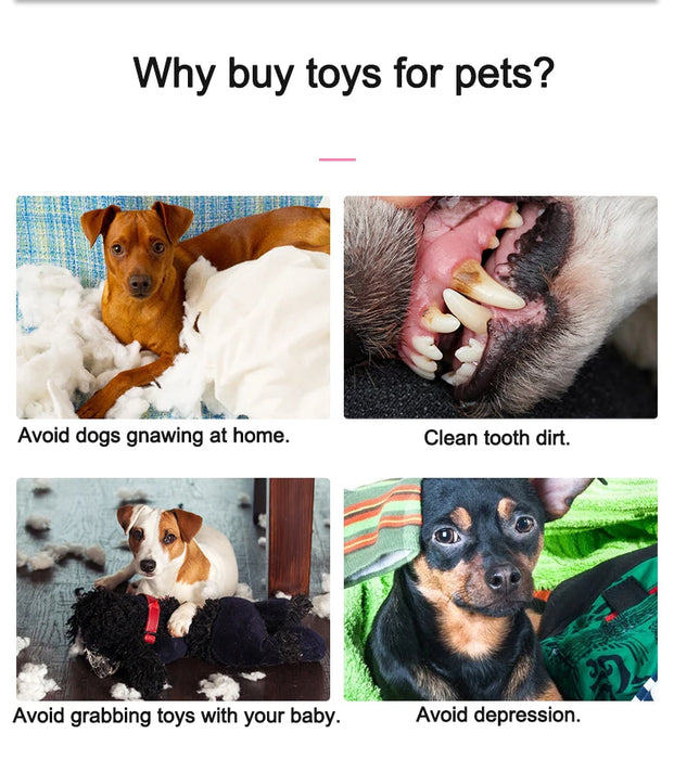 Animal Shape Squeak Plush Dog Toy Funny Interactive Chew Molar Toy for Small to Large Dogs And Cats Puppy Interactive Training