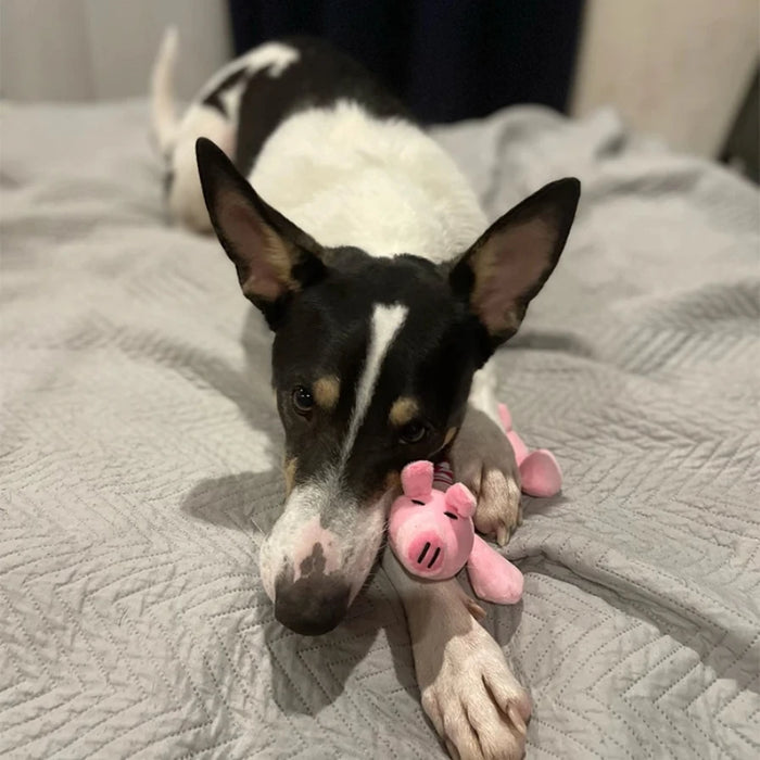 Animal Shape Squeak Plush Dog Toy Funny Interactive Chew Molar Toy for Small to Large Dogs And Cats Puppy Interactive Training