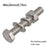 Flat Washer Hex Bolt Spring Nut Round Head Hexagon Head Screw Flange Nut Square Neck 304 Stainless Steel Screw Machinery