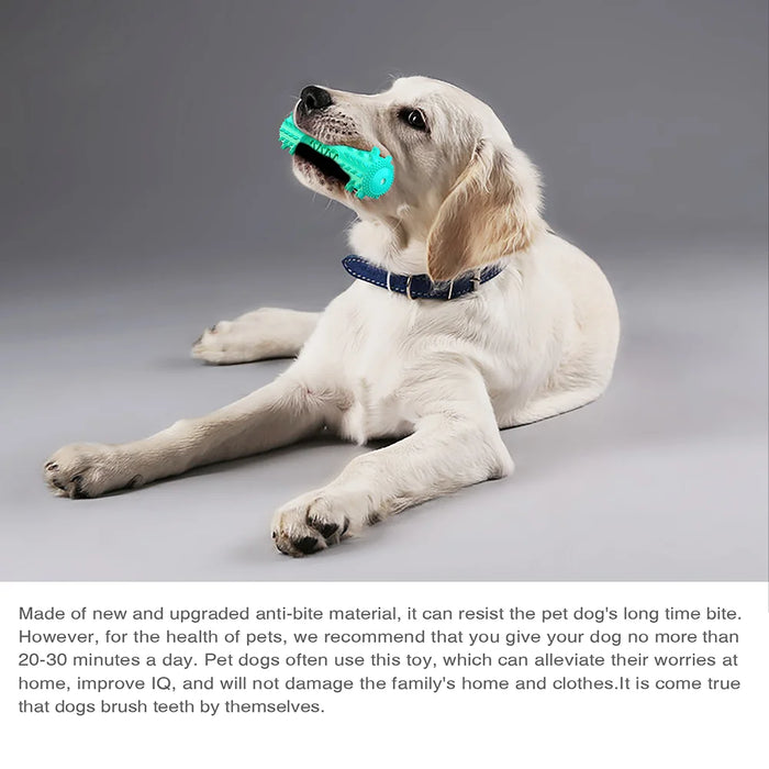 Squeaky Chew Water Floating Large Dog Toy Rubber Teeth Clean Interactive Training Toys Pet Labrador Golden Retriever Supplie