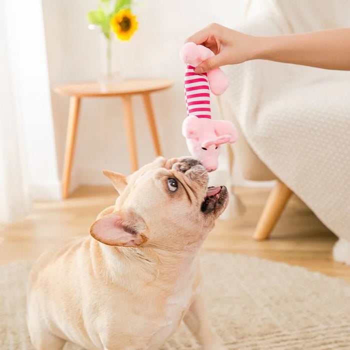 Squeak Dog Toys Wild Goose Sounds Toy Cleaning Teeth Puppy Dogs Chew Supplies Training Household Pet Dog Toys accessories 7 sold