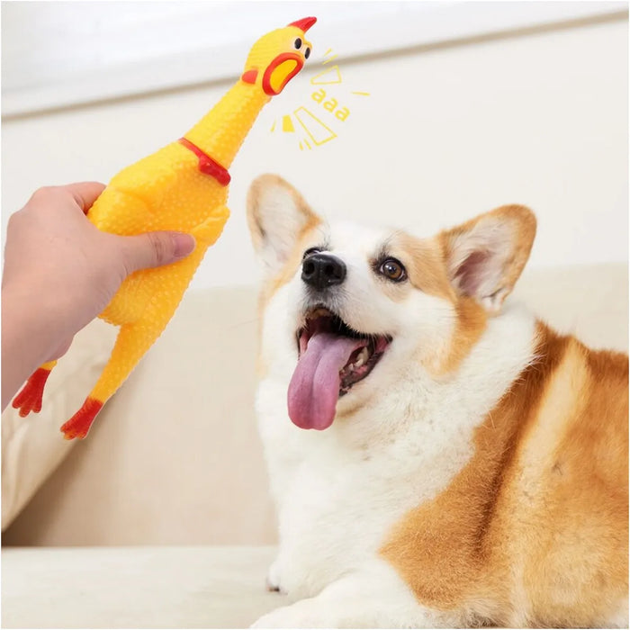 Squeaky Screaming Chicken Dog Toy 1pc Pet Squeaker Chew Toys Funny Molar Chew Rubber Toy in Sizes S M L for Small to Large Dogs