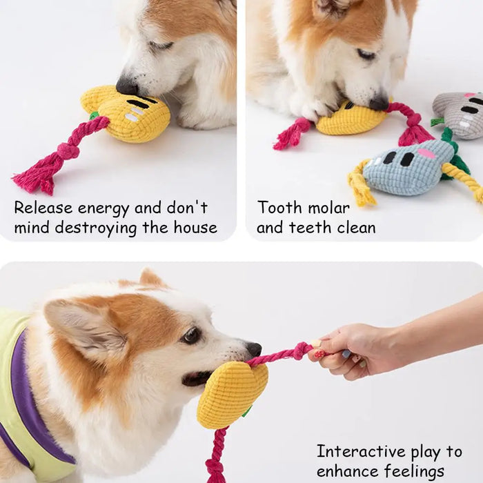 Squeak Plush Dog Toys For Small & Medium Breeds, Chew Resistant Rope To Keep Them Busy For Puppy Teething Chewing