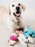 Cute Plush Toys Squeak Pet Cow Rabbit Animal Plush Toy Dog Chew Squeaky Whistling Involved Squirrel Dog Toys Cute Plush Toys Squ