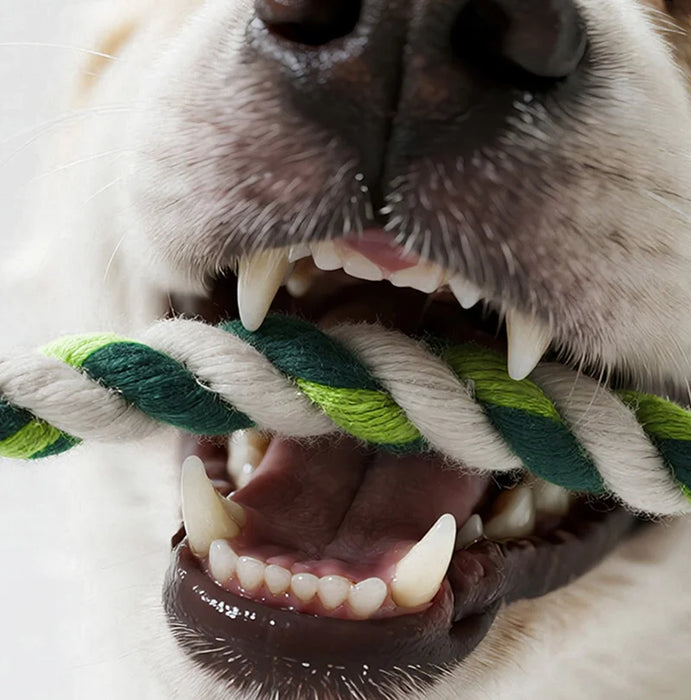Plush Pet Dog Toy Animal-shaped Dog Squeak Toys Interactive Pet Rope Toy for Small Medium Dogs Dog Accessories