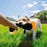 Screaming Chicken Dog Toy Bite Resistant Squeaky Chew Toy for Puppies Interactive Pet Training Accessories Pet Products Puppy