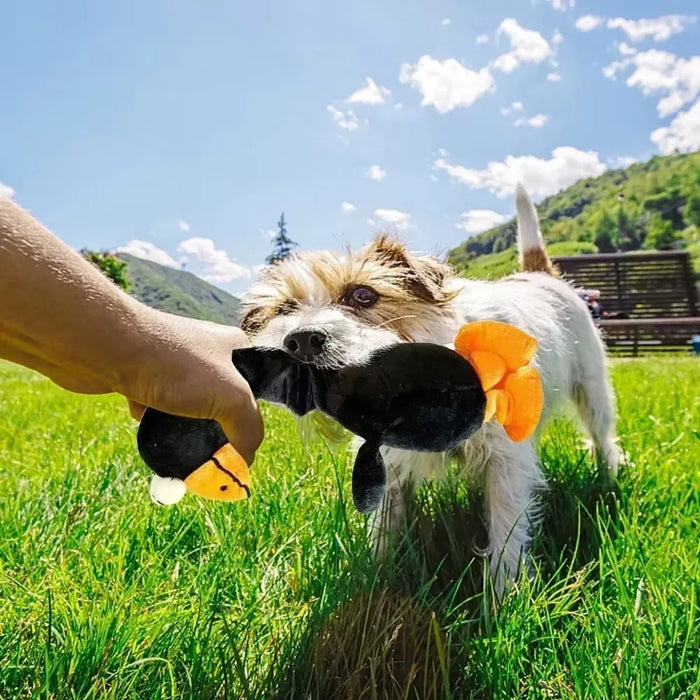 Screaming Chicken Dog Toy Bite Resistant Squeaky Chew Toy for Puppies Interactive Pet Training Accessories Pet Products Puppy