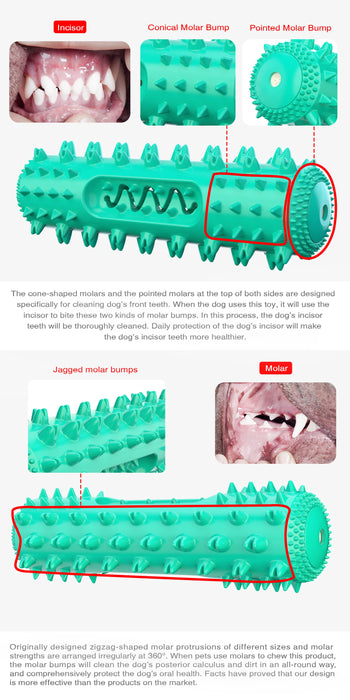 Squeaky Chew Water Floating Large Dog Toy Rubber Teeth Clean Interactive Training Toys Pet Labrador Golden Retriever Supplie