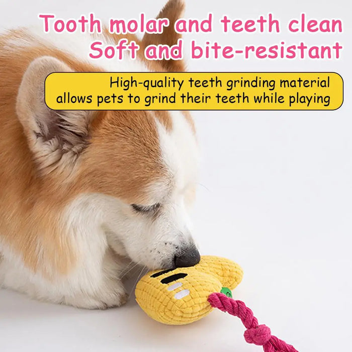Squeak Plush Dog Toys For Small & Medium Breeds, Chew Resistant Rope To Keep Them Busy For Puppy Teething Chewing