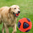 Squeaky Bounce Ball Dog Toy – Durable Chew-Resistant Toy with Sound Makers, Teething Relief Interactive Play for Boredom-Busting