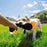Screaming Chicken Dog Toy Bite Resistant Squeaky Chew Toy for Puppies Interactive Pet Training Accessories Pet Products Puppy