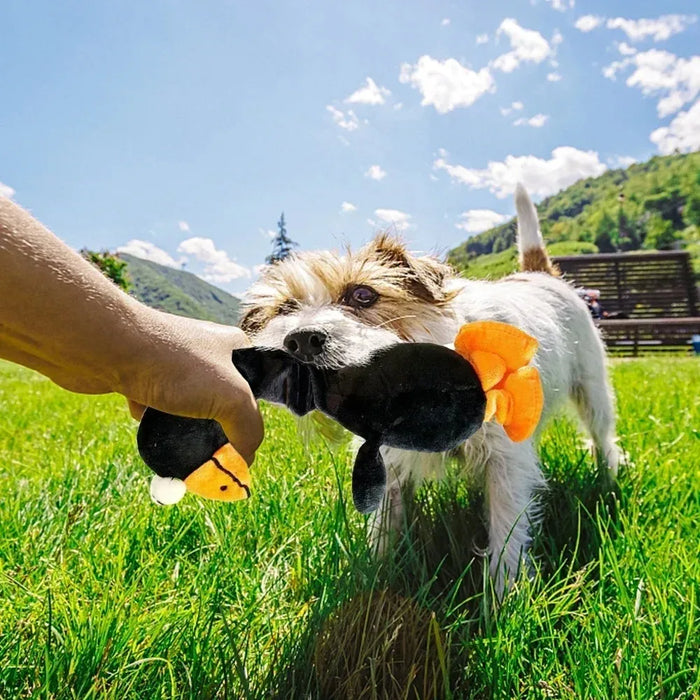 Screaming Chicken Dog Toy Bite Resistant Squeaky Chew Toy for Puppies Interactive Pet Training Accessories Pet Products Puppy