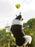 Squeaky Bounce Ball Dog Toy – Durable Chew-Resistant Toy with Sound Makers, Teething Relief Interactive Play for Boredom-Busting