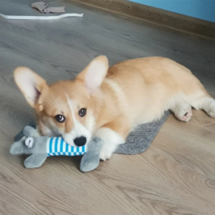 Animal Shape Squeak Plush Dog Toy Funny Interactive Chew Molar Toy for Small to Large Dogs And Cats Puppy Interactive Training