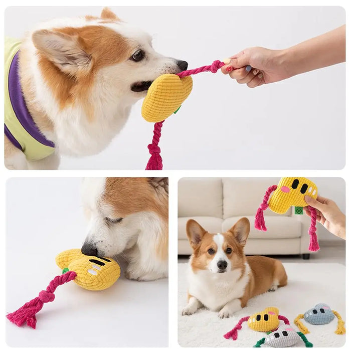 Squeak Plush Dog Toys For Small & Medium Breeds, Chew Resistant Rope To Keep Them Busy For Puppy Teething Chewing