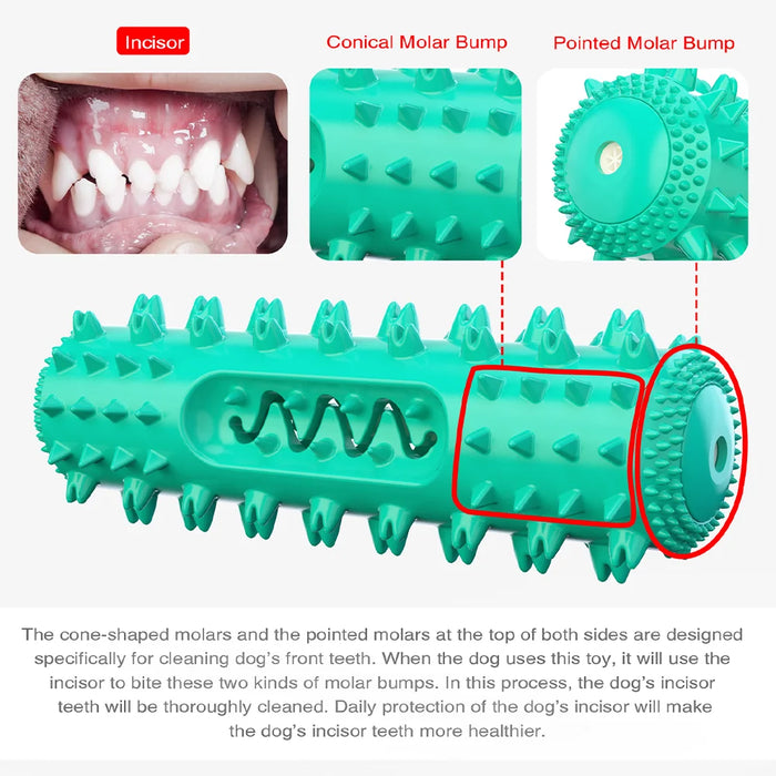 Squeaky Chew Water Floating Large Dog Toy Rubber Teeth Clean Interactive Training Toys Pet Labrador Golden Retriever Supplie