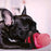 Plush Dog Squeak Toy Slippers Cartoon Animal Design Slippers Shape Squeak Plush Dog Toy Dog Durable Chewing Toy