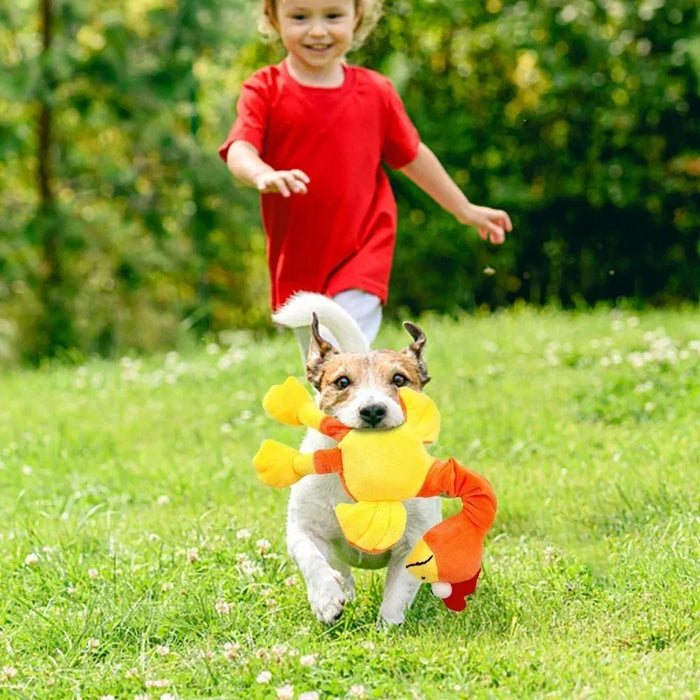 Screaming Chicken Dog Toy Bite Resistant Squeaky Chew Toy for Puppies Interactive Pet Training Accessories Pet Products Puppy